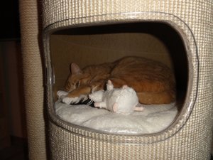 DSC01527 (1024x768).jpg