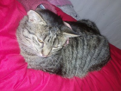 20260121_202158.jpg 20260121_202158.jpg