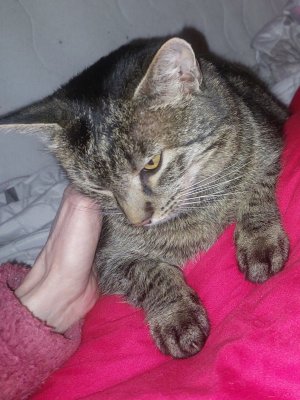 20260121_205008.jpg 20260121_205008.jpg