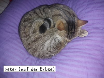 20260125_164718.jpg 20260125_164718.jpg