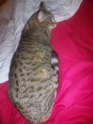 20260125_211217.jpg 20260125_211217.jpg