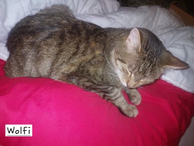 20260125_215402.jpg 20260125_215402.jpg