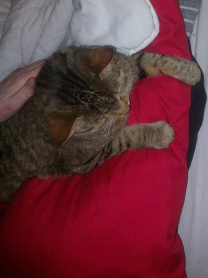 20260125_215931.jpg 20260125_215931.jpg