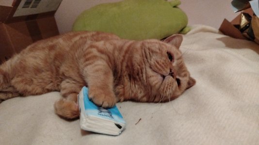 1000297662.jpg 1000297662.jpg