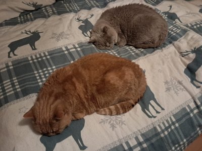 1000288342.jpg 1000288342.jpg