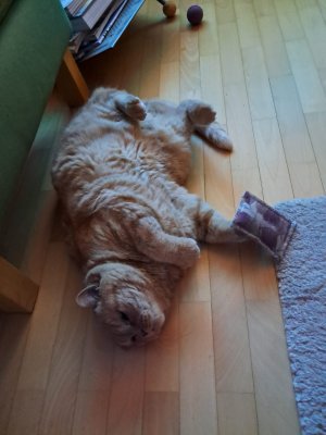 1000276874.jpg 1000276874.jpg