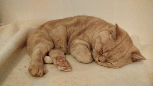 1000265290.jpg 1000265290.jpg