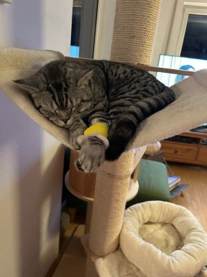 1000301909.jpg 1000301909.jpg