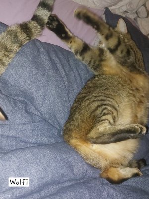 20260205_200854.jpg 20260205_200854.jpg