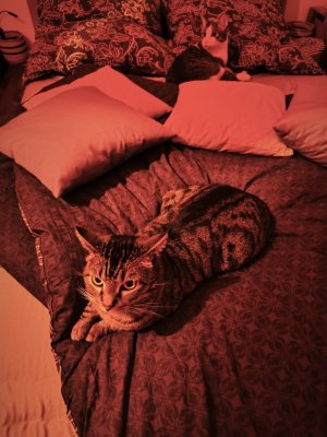 Eddie und Larry.jpeg