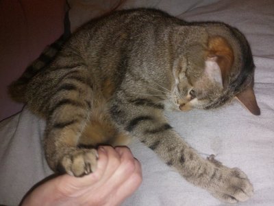 20260217_183652.jpg 20260217_183652.jpg