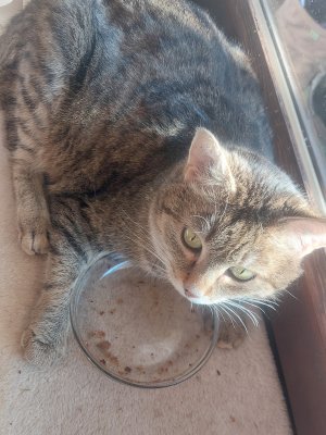 20260217_154712.jpg 20260217_154712.jpg