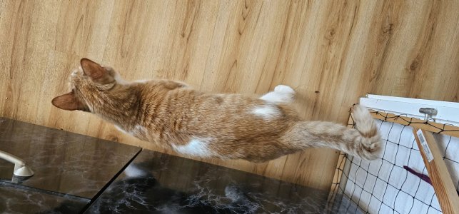 20260218_145344.jpg 20260218_145344.jpg