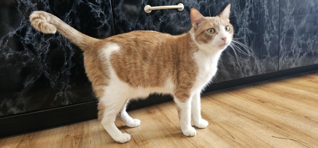 20260218_145419.jpg 20260218_145419.jpg