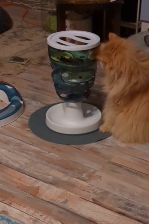 PXL_20260225_002548693.TS~2.mp4