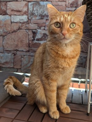 PXL_20240624_071114965.jpg PXL_20240624_071114965.jpg