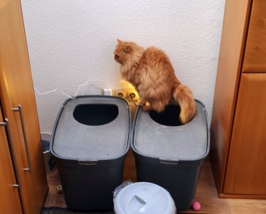 IMG_20260226_012744.jpg IMG_20260226_012744.jpg