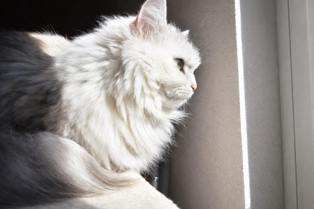 file_0000000079647243a5d530fad3b529ff.png file_0000000079647243a5d530fad3b529ff.png