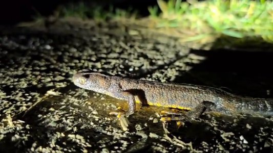 VID-20260301-WA0024_1.mp4