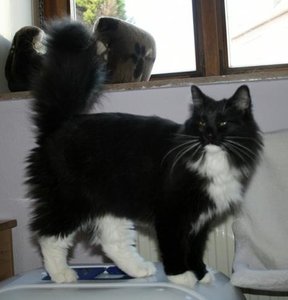 392835_279264262109240_100000770055347_736242_393716810_n (2).jpg