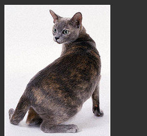 Bildschirmfoto 2012-01-25 um 15.07.22.png