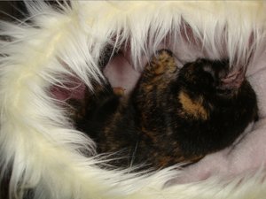 Bildschirmfoto 2012-01-28 um 20.04.50.jpg