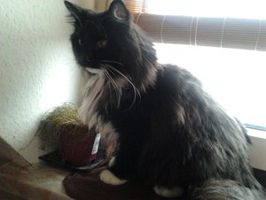 2012-01-29 13.16.58.jpg