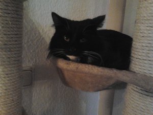 2012-01-29 15.30.29.jpg