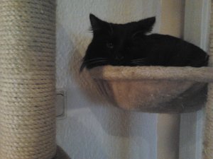 2012-01-29 15.31.04.jpg