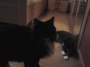 2012-01-30 09.16.15.jpg