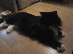 2012-01-30 09.18.43.jpg