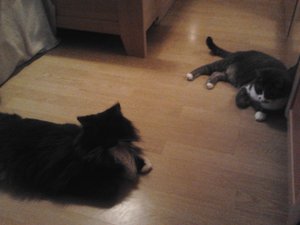 2012-01-30 09.18.56.jpg