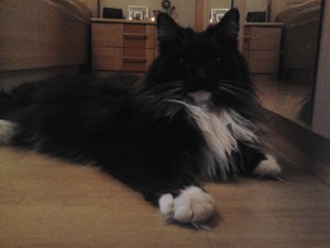 2012-01-30 09.22.25.jpg