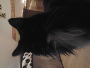 2012-01-30 09.23.51.jpg