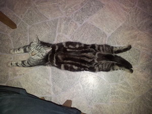 2012-01-28 08.11.50.jpg