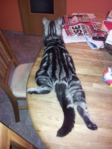 2012-01-23 22.12.26.jpg