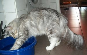 Azula und Chico 24.05 062.JPG