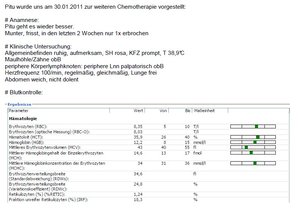 Pitù 30. Januar 2012 1_2.jpg