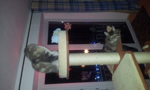 2012-01-01 21.56.01_resized.jpg