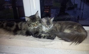 2012-01-03 16.03.04_resized_1.jpg