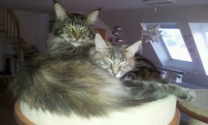 2012-01-15 14.17.38_resized.jpg