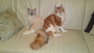 21092011182 - Kopie.JPG