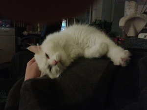 2012-02-02 18.04.22.jpg