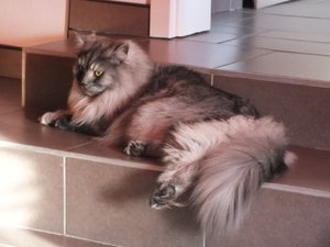 Azula und Chico 19.12 025.JPG