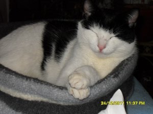 winterzeit 001 [800x600].jpg