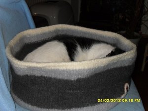 winterzeit 003 [800x600].jpg