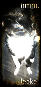 ColorTouch - Devine,Rustic.jpg