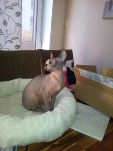 2012-02-03 10.28.27.jpg