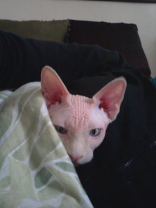 2012-02-01 16.00.32.jpg