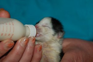 Schwarzweißes Bubbbbbbi.jpg